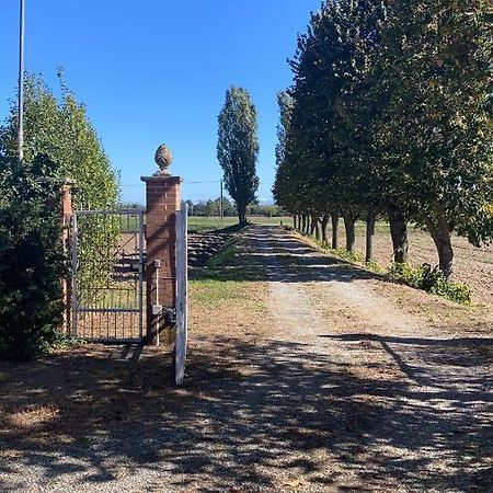 Bilocale Immerso nel Verde Oviglio Esterno foto