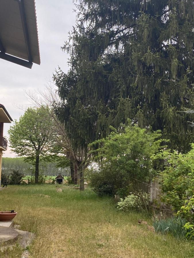 Bilocale Immerso nel Verde Oviglio Esterno foto