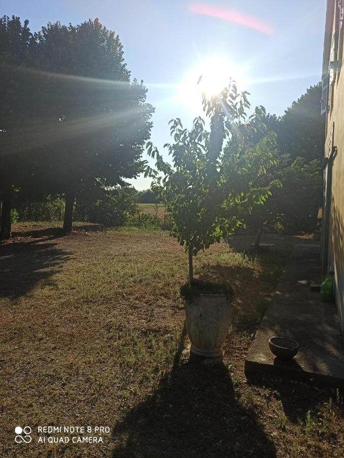 Bilocale Immerso nel Verde Oviglio Esterno foto